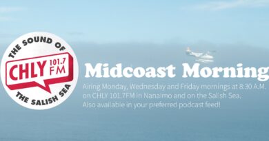 Plane flying over Nanaimo harbour