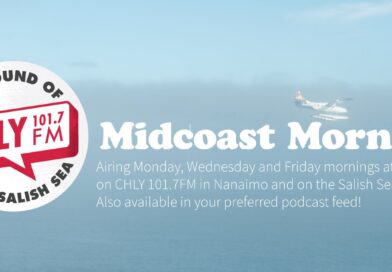 Plane flying over Nanaimo harbour