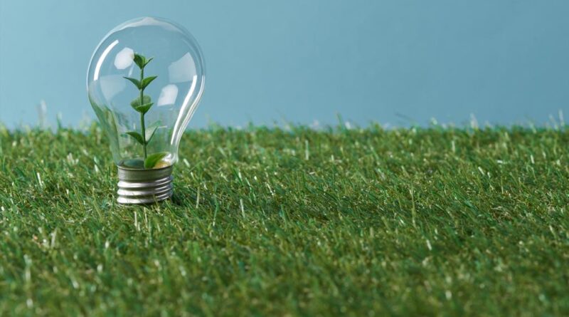 lightbulb growing on a lawn with plant inside it.