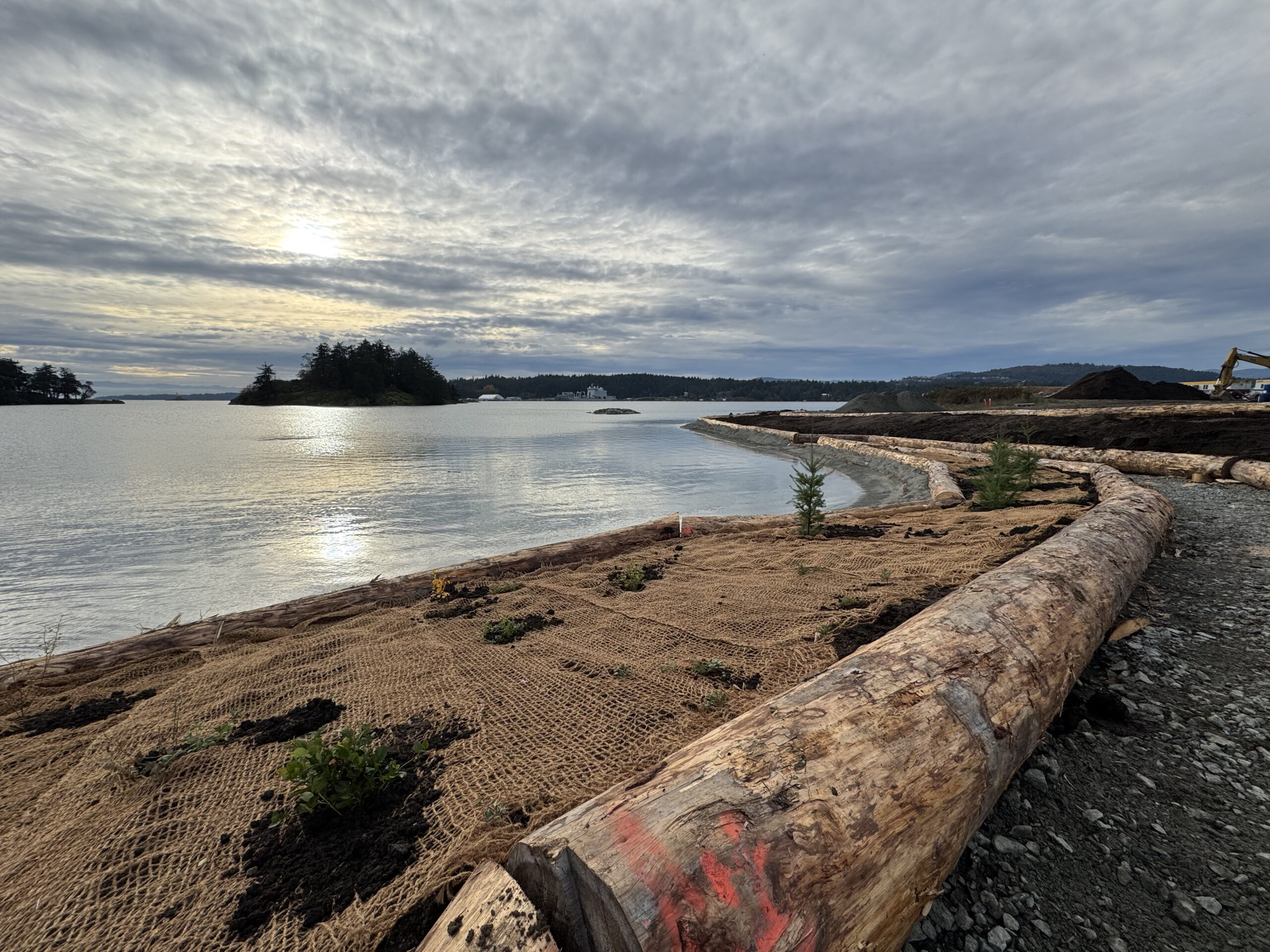 Esquimalt and Songhees Nations Partner with Government to Clean Up Victoria’s Plumper Bay Shoreline