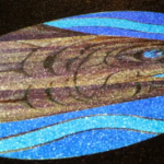 Image of a fish in water illuminated in a circle against black background