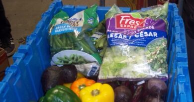 Blue bin full of grocery items