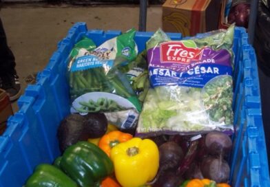 Blue bin full of grocery items