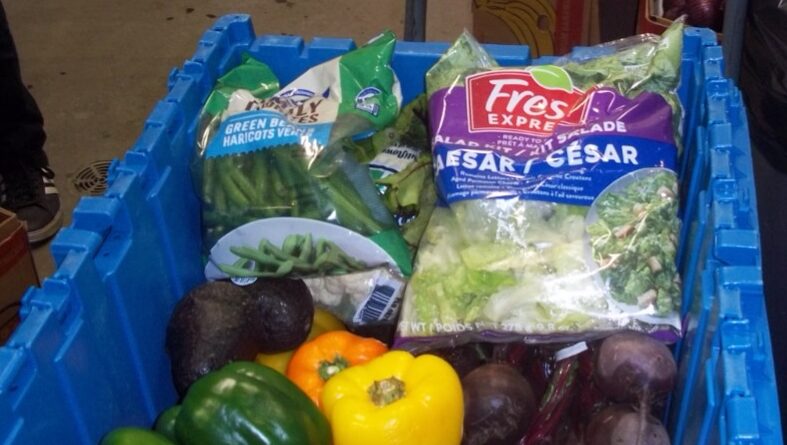 Blue bin full of grocery items