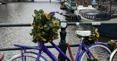 blue bicycle by Amsterdam canal with basket of flowers