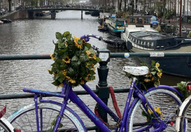 blue bicycle by Amsterdam canal with basket of flowers
