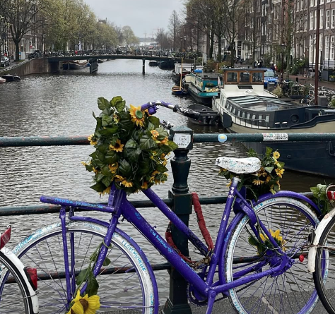 blue bicycle by Amsterdam canal with basket of flowers