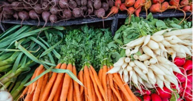carrots, radishes, beans, beets in a pile